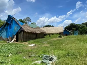 Menina ianomâmi de 12 anos morre após ser estuprada por garimpeiros, afirma liderança