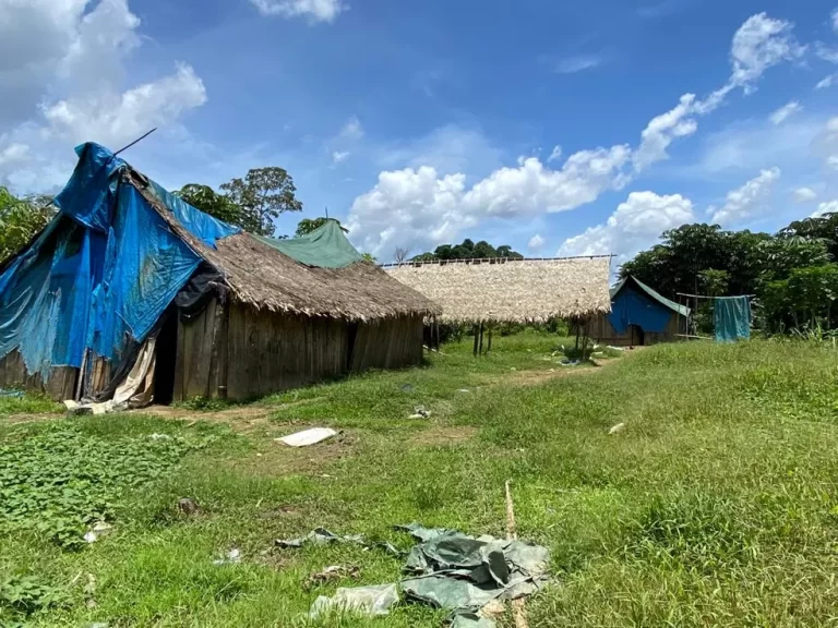 Menina ianomâmi de 12 anos morre após ser estuprada por garimpeiros, afirma liderança