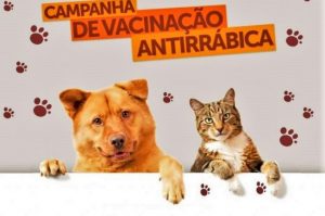 Vacinação contra a raiva em cães e gatos começou na zona rural nesta segunda-feira