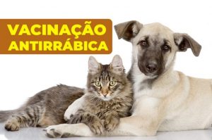 Centro de Controle de Zoonozes fará vacinação contra raiva nos quiosques dos residenciais Ipê e Jequitibá nesta quinta, 28