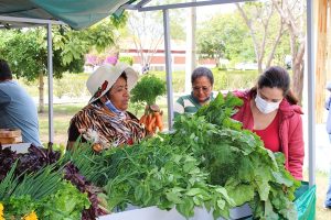 Feira Agroecológica da Uesb funciona às sextas, no campus de Conquista