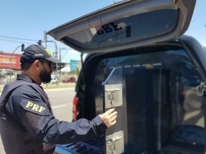 Passageiro de ônibus condenado por 4 crimes é preso pela PRF em Vitória da Conquista (BA)