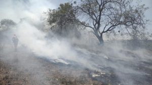 Focos de incêndio atingiram diversas áreas de Vitória da Conquista nesse domingo