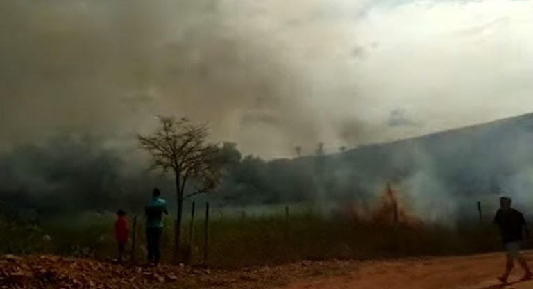 Vídeo: Helicóptero cai com deputado Hercílio Diniz, do MDB, em Minas