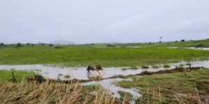 BA-270: Carro capota com 3 pessoas e cai em lagoa no trecho Itapetinga e Potiraguá.