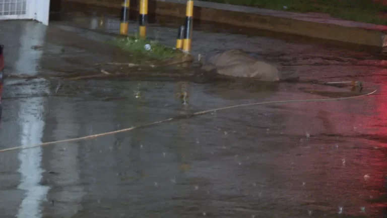 DF: Dois adolescentes e uma criança morrem eletrocutados atingidos por fio de alta tensão