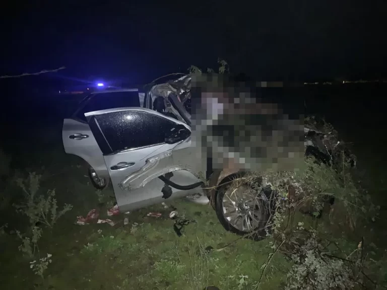 Ex-prefeito morre ao bater contra animais quando ia socorrer filho em outro acidente