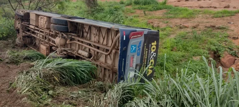 Ônibus tenta fazer ultrapassagem, cai em ribanceira e deixa feridos na Bahia