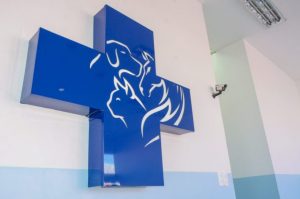 Provas para seleção do Centro de Apoio à Saúde Animal (Casa) acontecem neste domingo (29)