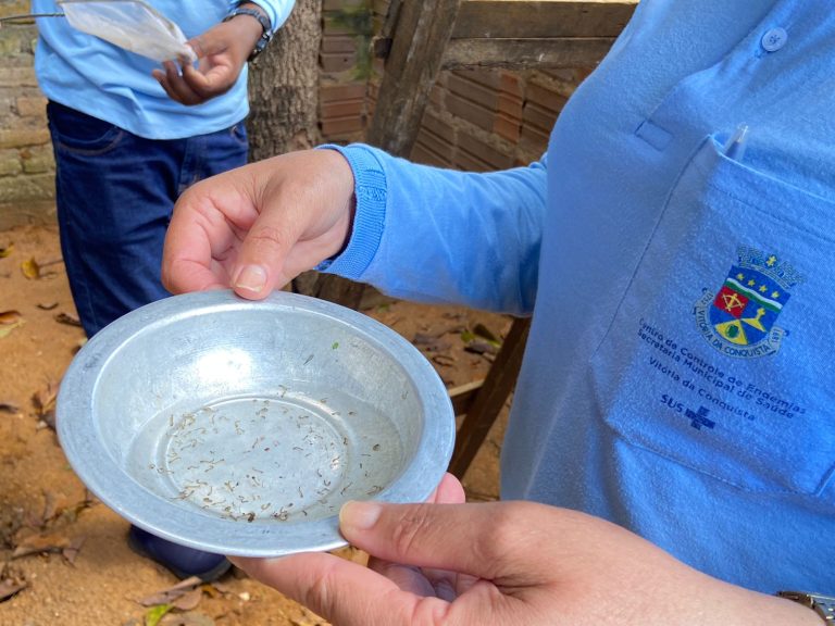 Alerta: Vitória da Conquista registra aumento de infestação de ‘aedes egypti’