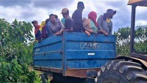 Vinte e cinco pessoas são resgatadas de trabalho escravo em Encruzilhada (BA)