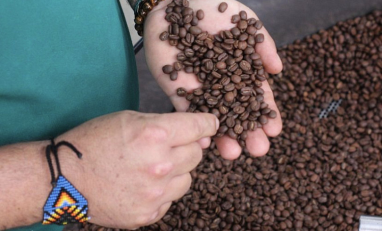 Produtores de café do Planalto da Conquista iniciam projeto para alcançar Indicação Geográfica