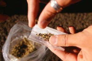 Veja como já votaram os ministros do STF no julgamento da descriminalização das drogas
