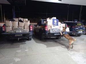 Operação conjunta da PF e PRF resulta na apreensão de quase 1 tonelada de drogas em Vitória da Conquista