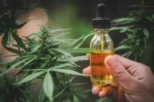 [CANNABIS MEDICINAL] Anvisa aprova comercialização de Extrato de Cannabis em meio da discussão sobre a flexibilização