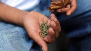 K9: Saiba como a “droga zumbi” afeta o cérebro