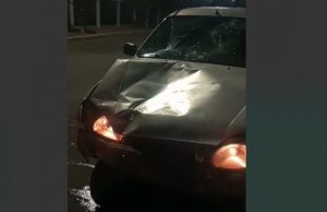 Conquista: Animal solto na Juracy Magalhães causa acidente com 4 veículos e ainda persegue um idoso