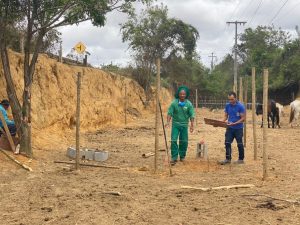 Curral Municipal: Prefeitura diz que animais já chegam muito doentes e possui equipe para alimentá-los