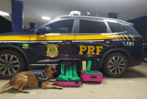 Mulher aceita transportar malas para um amigo e acaba presa por tráfico de drogas em Vitória da Conquista (BA)