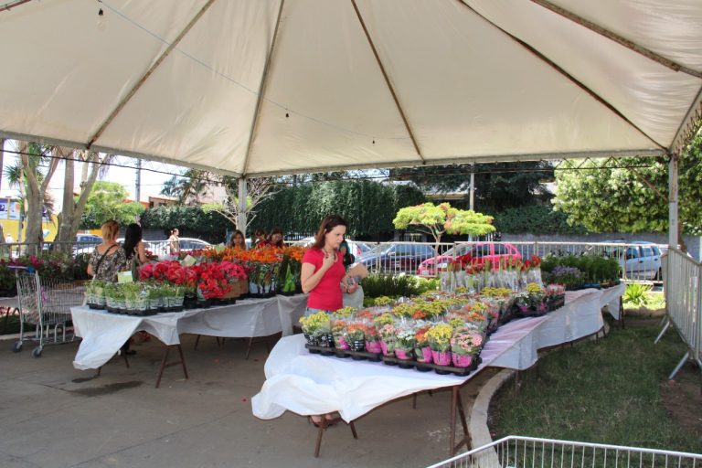 Feira de Flores de Holambra ‘Conquista Florescendo’ começa nesta quarta-feira, 01