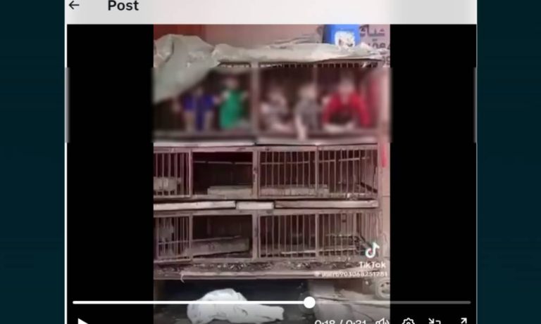 Vídeo de crianças enjauladas, supostamente sequestradas pelo Hamas, não tem comprovação