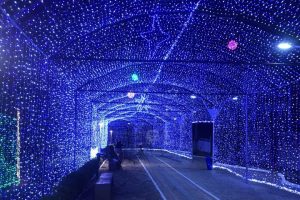 Ornamentação luminosa do Natal Conquista de Luz 2023 da Praça Tancredo Neves serão ligadas neste sábado (02)