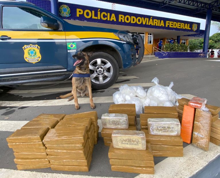Maconha, cocaína e crack são apreendidos em Vitória da Conquista (BA)