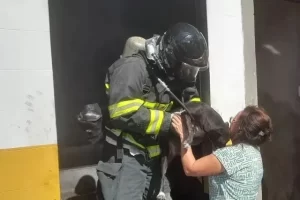 Bombeiros de Vitória da Conquista resgatam cachorros em incêndio