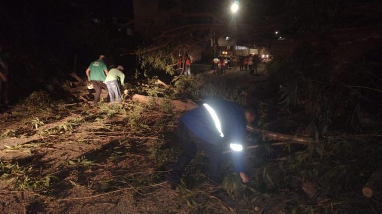 Árvores caem e atingem postes de energia nas imediações do Lomantão em Vitória da Conquista