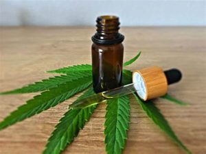 Associação oferece suporte para quem precisa da cannabis medicinal em Vitória da Conquista