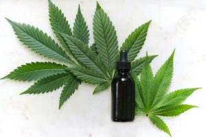 Dinamismo e expansão no mercado brasileiro de Cannabis medicinal