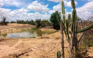 Estiagem na Bahia: cinco cidades obtêm o reconhecimento federal de situação de emergência