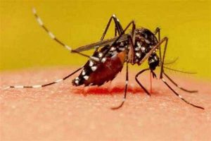 Urgente: Vitória da Conquista registra quinta morte por Dengue nesta quarta-feira (27)