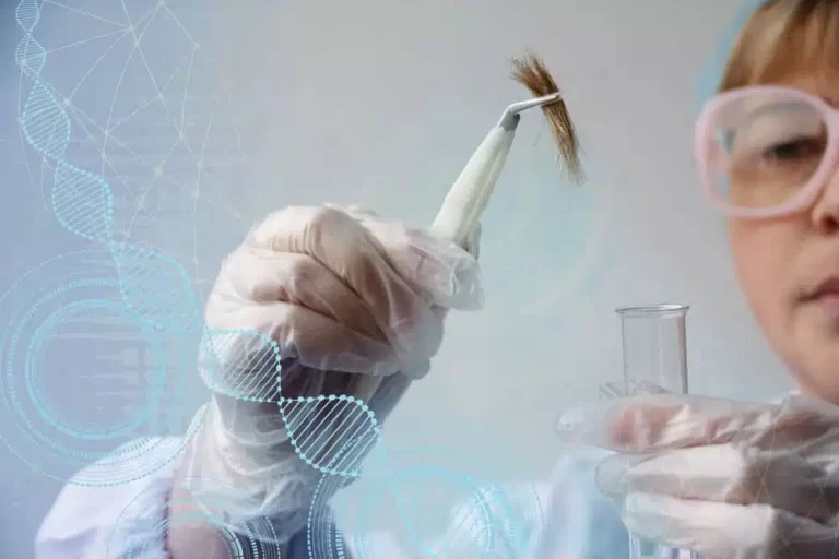 Motoristas que possuem CNH nas categorias C, D e E têm prazo prorrogado para realização do exame toxicológico periódico