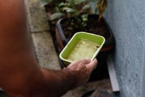 Vitória da Conquista segue no topo de casos prováveis de Dengue na Bahia