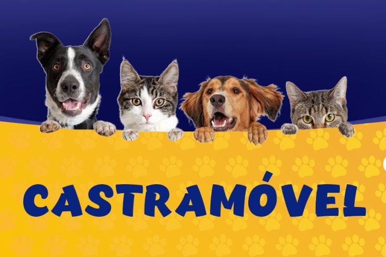 Governo Municipal entrega Castramóvel nesta quinta-feira, 9, na Praça Nove de Novembro