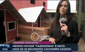 Reportagem traz novas informações sobre menino de 9 anos que matou 23 animais em clínica veterinária no Paraná