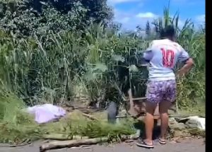 BA-263: Acidente deixa vítima fatal entre Conquista e Itambé