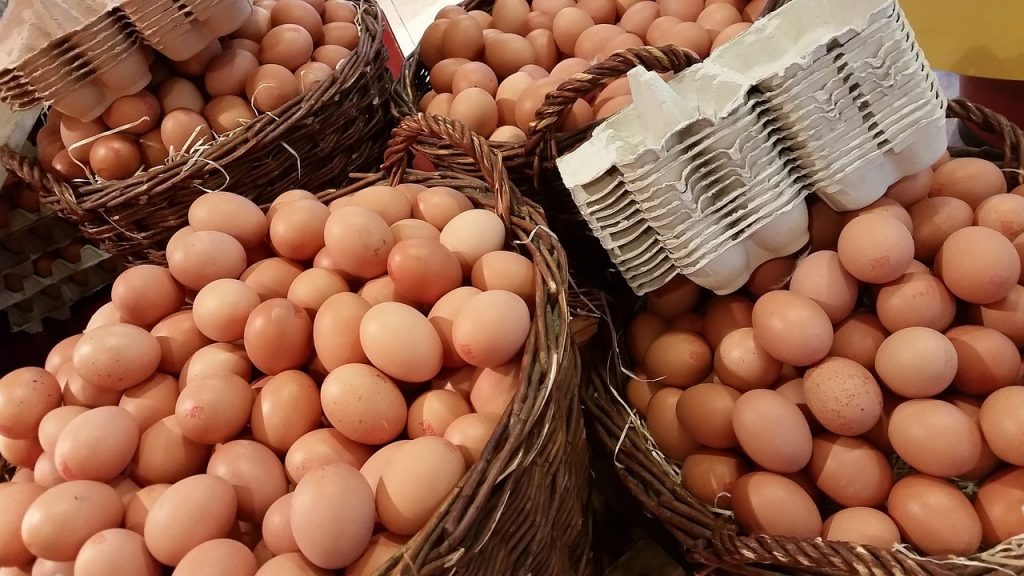 Preço dos ovos dispara e produto some das prateleiras. Entenda o que está acontecendo