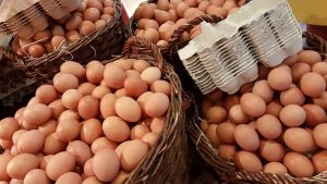 Preço dos ovos dispara e produto some das prateleiras. Entenda o que está acontecendo