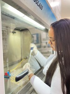Pesquisadores da Uesb identificam “bactérias do bem” em produção de linguiça artesanal