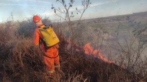 Em cinco dias, Semma e Corpo de Bombeiros debelaram mais de 70 focos de incêndio em Vitória da Conquista