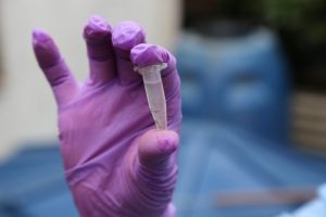 Vitória da Conquista reduz índice de infestação do Aedes aegypti para 1,3%