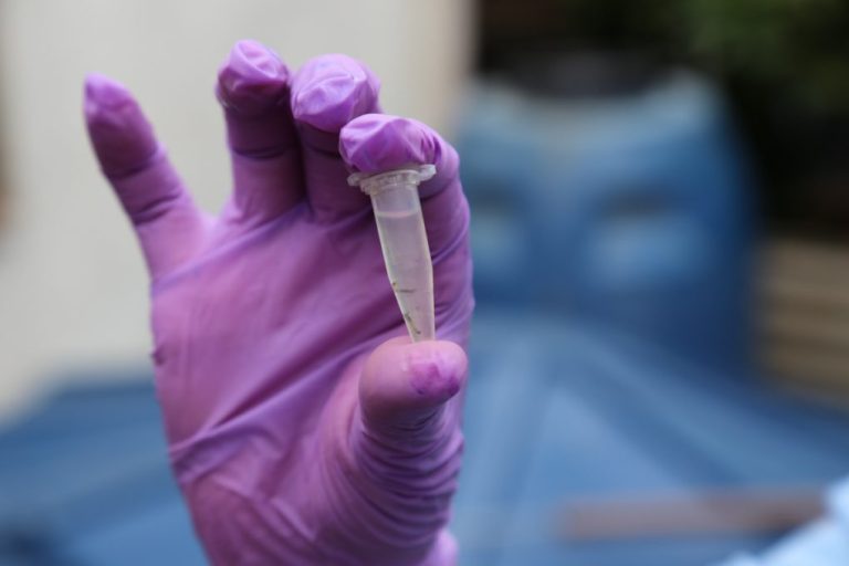 Vitória da Conquista reduz índice de infestação do Aedes aegypti para 1,3%