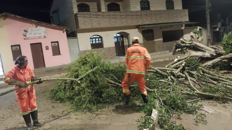 Vento forte derrubou árvores e balançou poste e caixas d’água em Vitória da Conquista