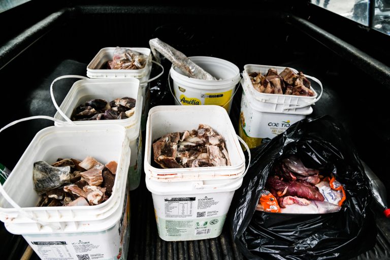 Vigilância Sanitária apreende 80 quilos de carne podre em açougue na Vila Serrana