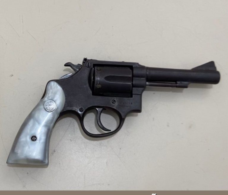 Homem que pretendia vendar arma de fogo no Mercadão do bairro Brasil é preso