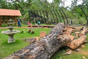 Temporal causa interdição de via, danos ambientais e retirada de famílias em Conquista