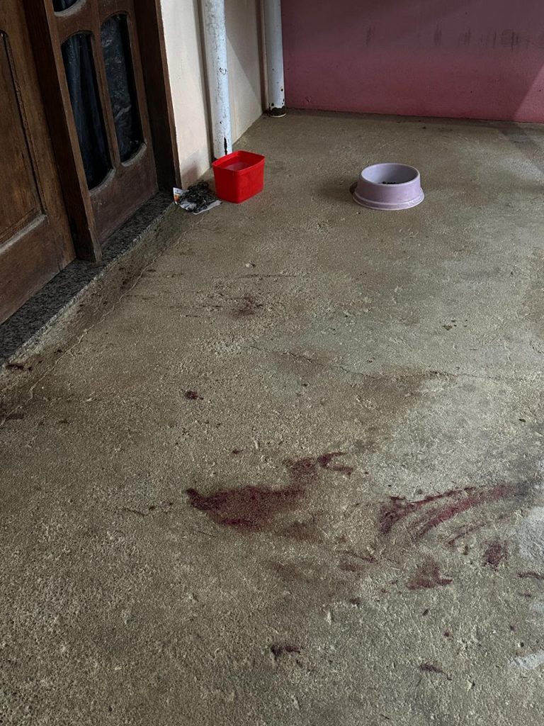 Viatura da Polícia Civil da Bahia durante ocorrência em Boa Nova