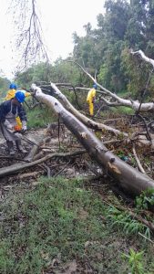 Decreto recomenda suspensão de eventos e uso de espaços públicos até quinta-feira
